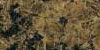 Tropic brown